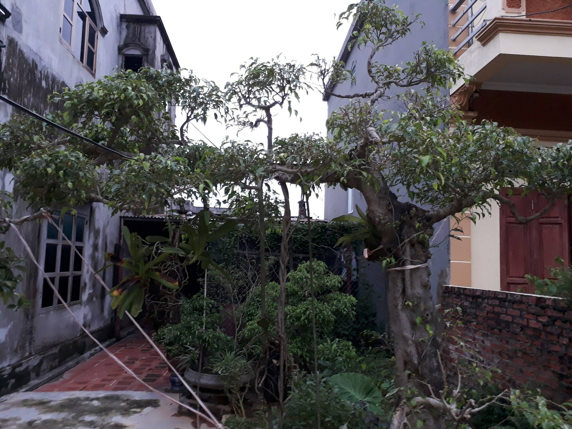 Tam Coc White Swan Homestay นิญบิ่ญ ภายนอก รูปภาพ
